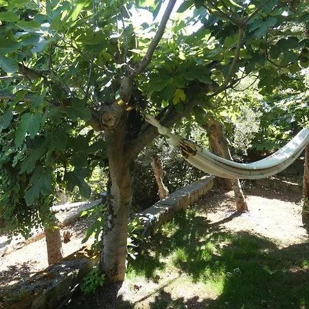 Beliving House Villa Mandra Capreria